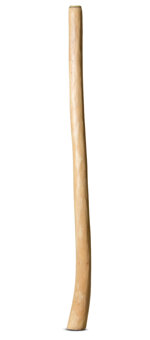 Medium Size Natural Finish Didgeridoo (TW999)